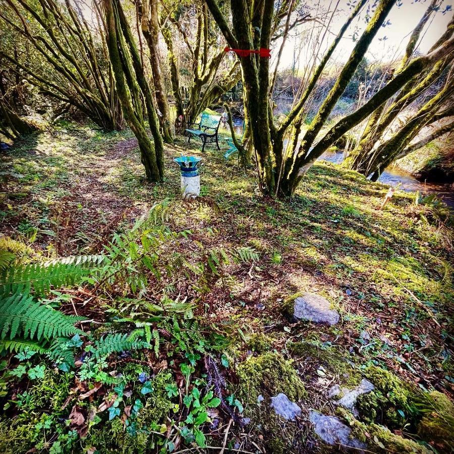 班特里 Stepping Stones Glamping Little Red酒店 外观 照片