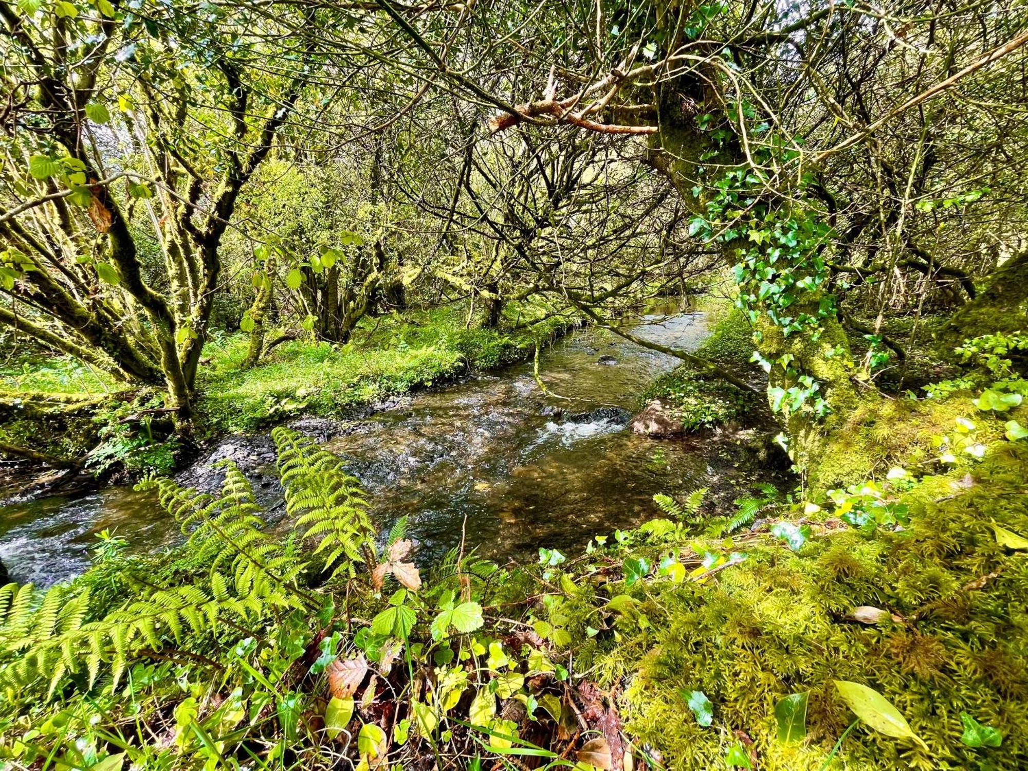 班特里 Stepping Stones Glamping Little Red酒店 外观 照片