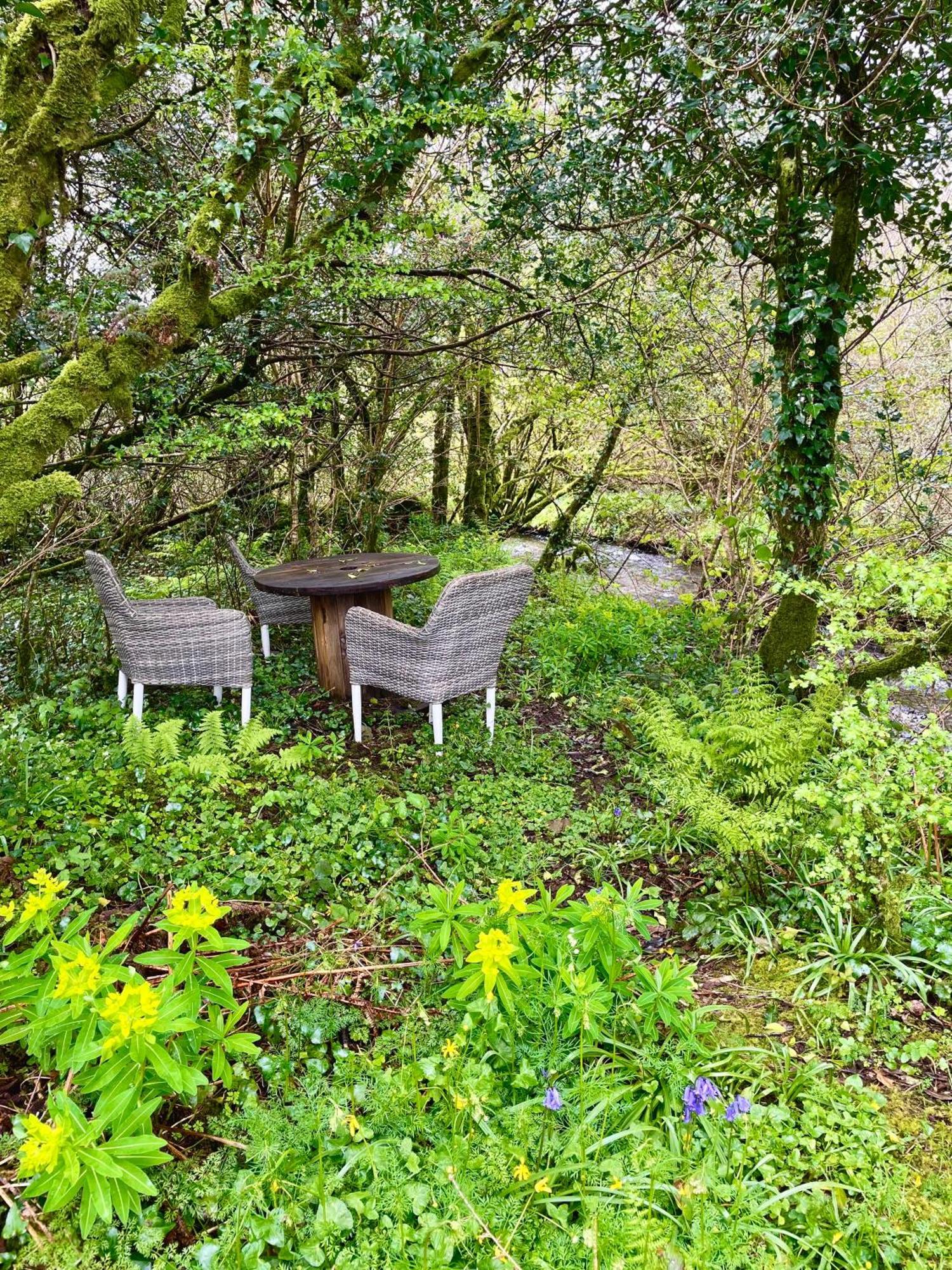 班特里 Stepping Stones Glamping Little Red酒店 外观 照片